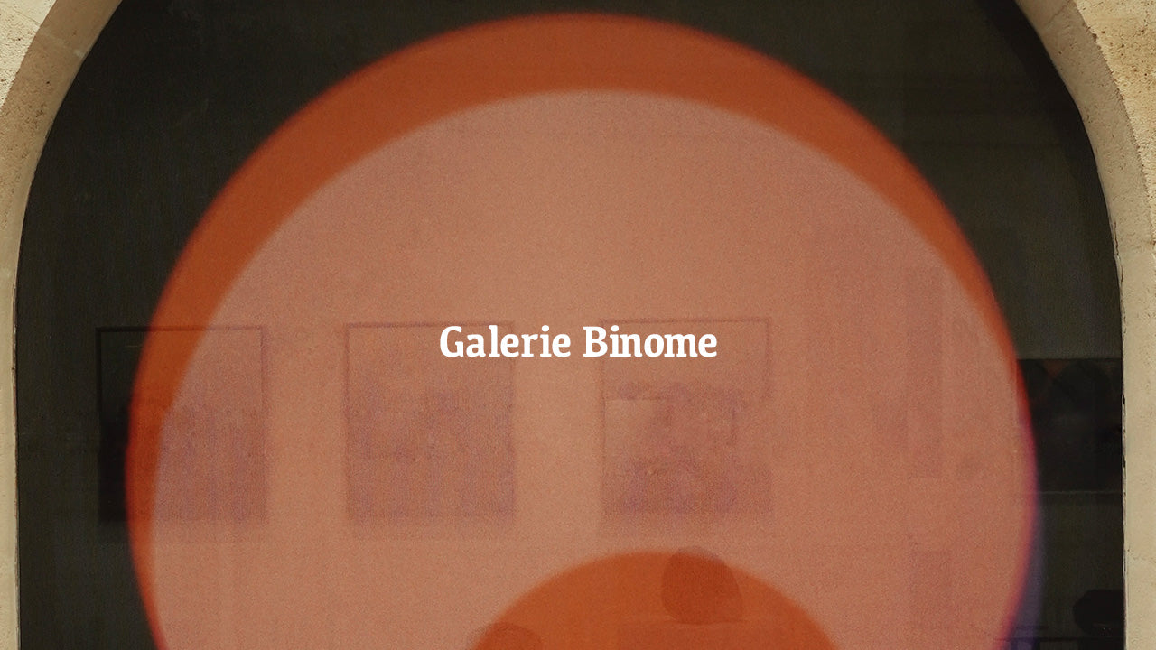 Les Voyages de Timothée, Galerie Binome